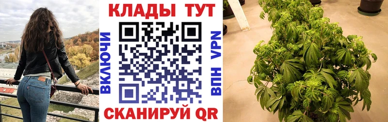 Как найти наркотики Иланский Alpha PVP COCAIN ГАШ Марихуана