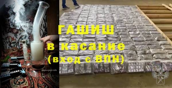 прущие грибы Горно-Алтайск