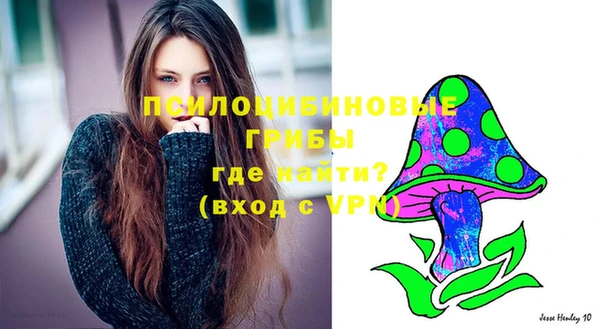 МДМА Горнозаводск