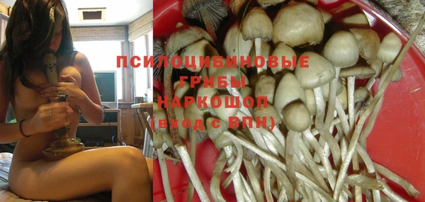 МДМА Горнозаводск
