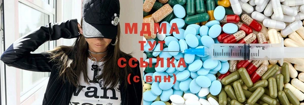 прущие грибы Горно-Алтайск
