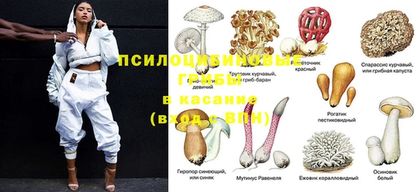твердый Вязники